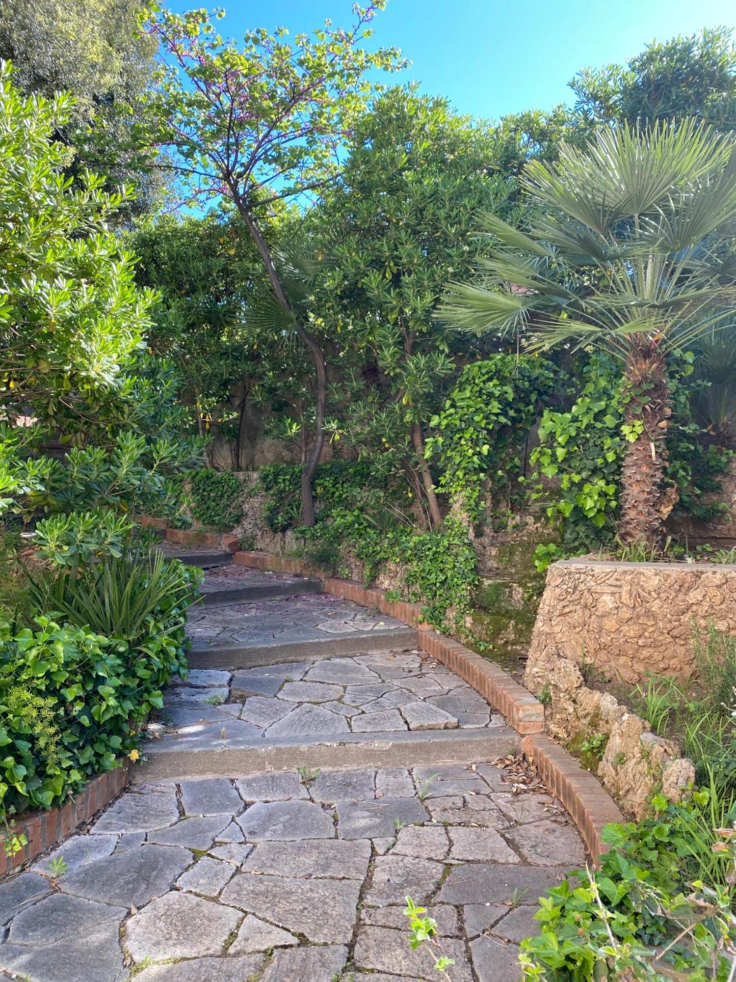 Villa Il Boschetto サン·ヴィンチェンツォ エクステリア 写真