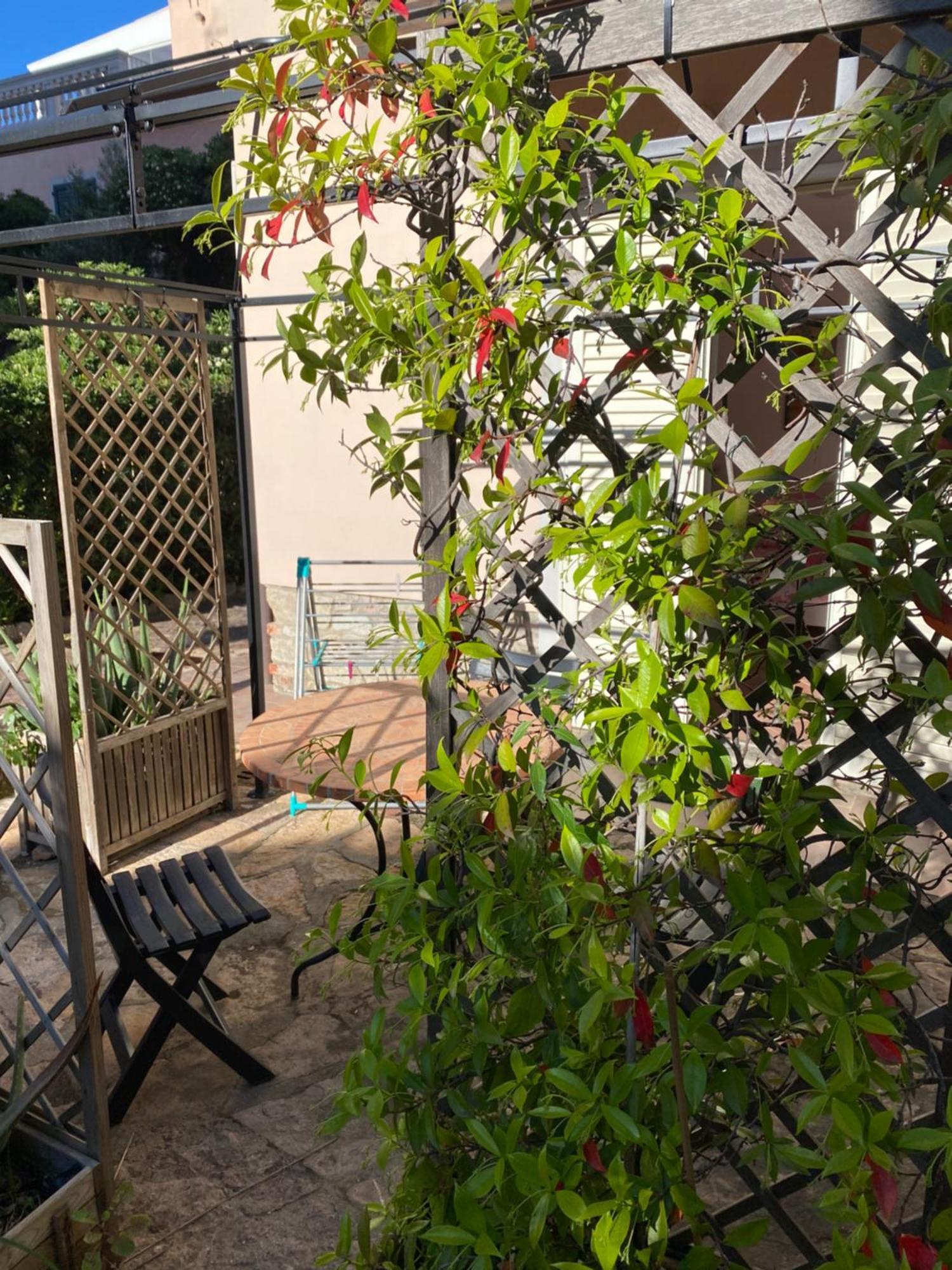 Villa Il Boschetto サン·ヴィンチェンツォ エクステリア 写真