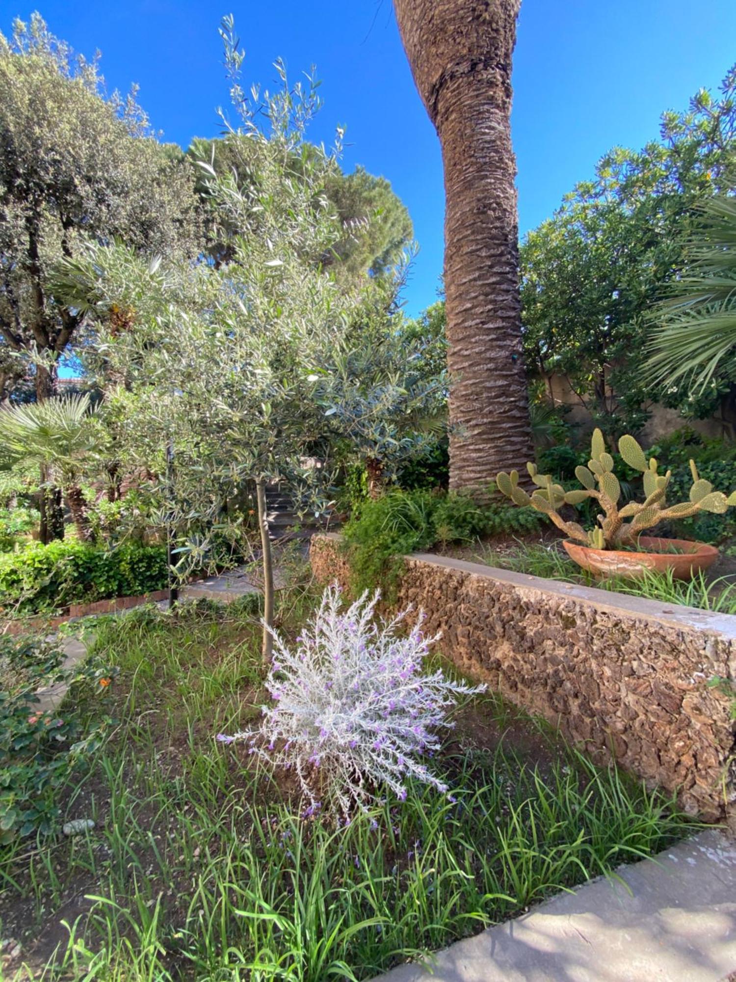 Villa Il Boschetto サン·ヴィンチェンツォ エクステリア 写真