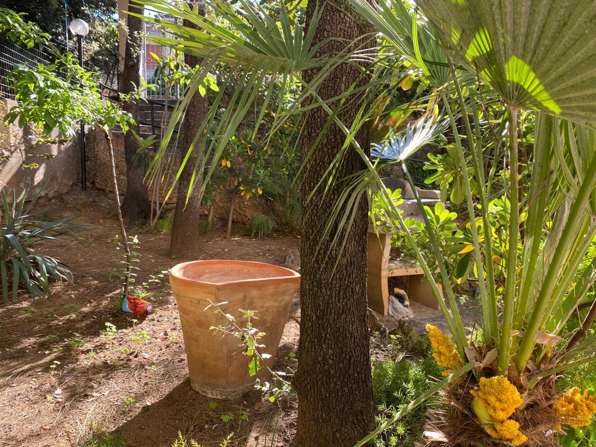 Villa Il Boschetto サン·ヴィンチェンツォ エクステリア 写真