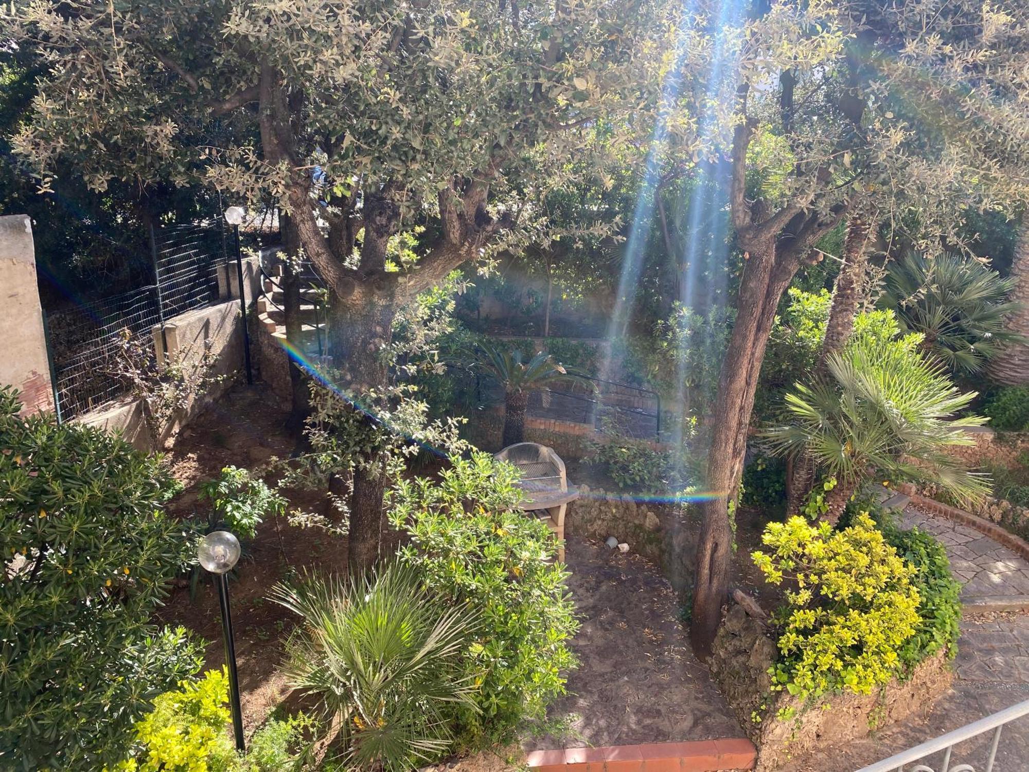 Villa Il Boschetto サン·ヴィンチェンツォ エクステリア 写真